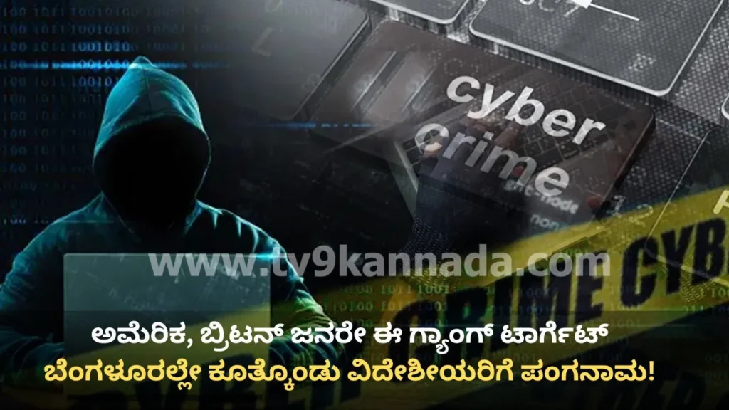 cyber-fraud