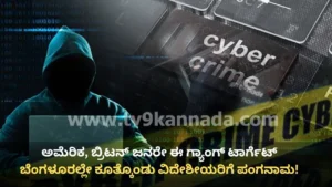 cyber-fraud