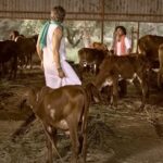 ನಾಯಿಯ ವಿಚಾರಕ್ಕೆ ಶುರುವಾಯ್ತು ಕೋಲು ಕಾಳಗ!